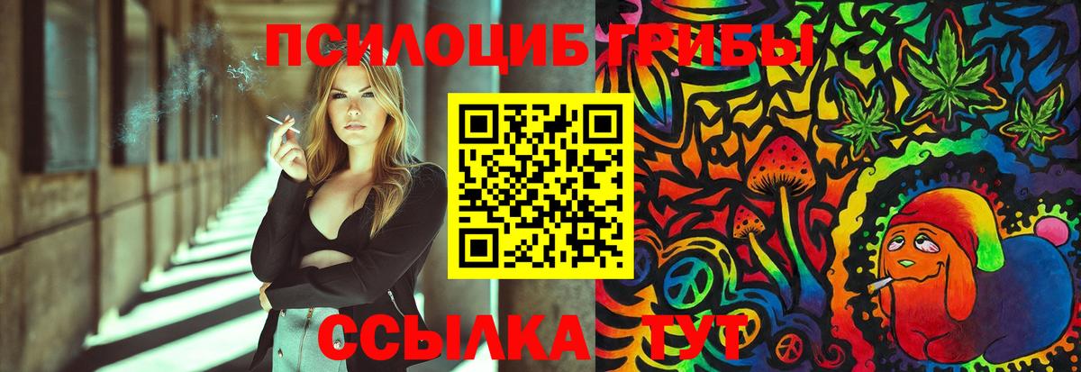 Псилоцибиновые грибы Psilocybe  Псилоцибиновые грибы Cubensis  Коммунар  Вход с VPN 